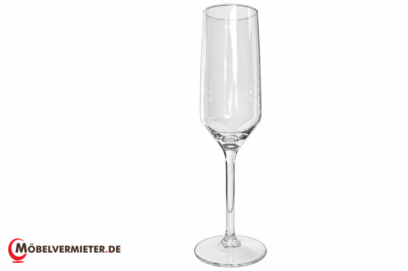 RACK Sektglas "Elegant", Rack á 49